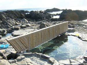 岩場に囲まれた海辺の潮だまりに竹製の細長い仕切りが設けられ、周囲には黒い岩と透明な水面が広がる写真