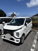 だいすき基金(電気自動車)