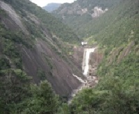 険しい岩肌が剥き出しになった深い谷間の奥で、豊かな水量の千尋の滝が垂直に落下し、周囲を濃い緑の木々が覆い尽くしている雄大な自然の風景写真