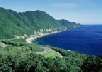 緑豊かな山々が紺碧の海に迫り、海岸線に沿って緩やかなカーブを描く道路が走っている、晴れた日の雄大な自然風景写真