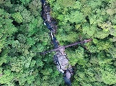 深い原生林の緑に覆われた谷間を流れる渓流があり、その岩場をまたぐように木製の吊り橋が架かっている様子を真上から捉えた空中写真