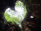 大きくうろこ状に隆起した樹皮の内側から、上に向かって広がる木の幹と枝の輪郭を通して、明るい空と周囲の緑の葉が見える、ガジュマルなどの巨木の内部をローアングルで捉えた写真