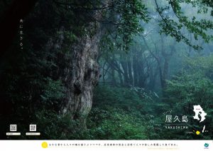 左上に「共に生きる」というキャッチコピーが書かれた屋久島の森の中で、巨大で苔むした大木が左側にそそり立ち、濃い緑の木々が奥へと連なる神秘的な光景の写真のポスター