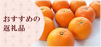 おすすめの返礼品