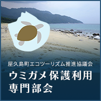 ウミガメ保護利用専門部会