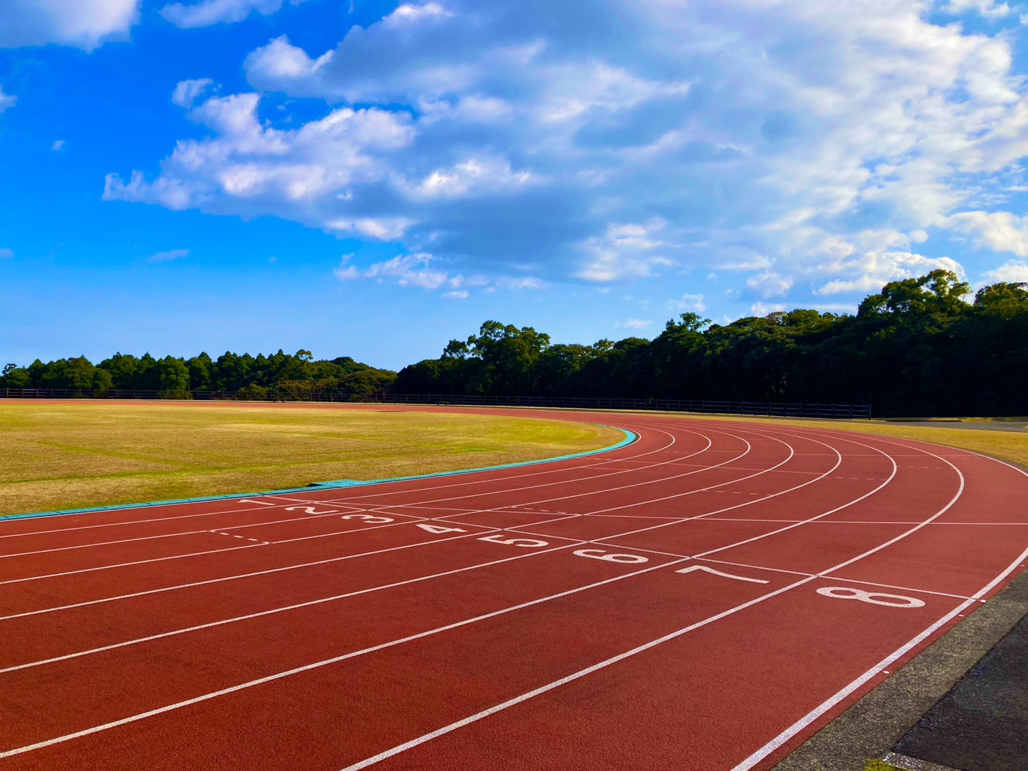 健康の森公園陸上競技場