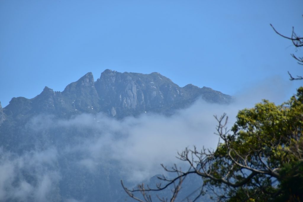 木の枝越しに、雲をまとった永田岳のゴツゴツした岩肌の山頂が見える写真