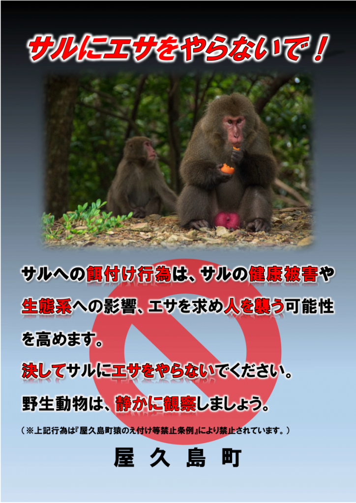 ヤクシマザルが餌を食べている写真の上に、「サルにエサをやらないで！」という赤い警告文と、「サルへの餌付け行為は、サルの健康被害や生態系への影響、エサを求め人を襲う可能性を高めます。決してサルにエサをやらないでください。野生動物は、静かに観察しましょう。（注意：上記行為は『屋久島町猿のえ付け等禁止条例』により禁止されています。）屋久島町」という注意喚起の文章が重ねられた啓発ポスター