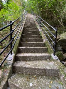 左右に黒い金属製の手すりが付いた石造りの階段が緑の森の中をまっすぐに奥へと続いている様子を、下から見上げた写真