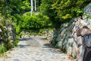 緑に囲まれた両側に石垣がある小道の写真
