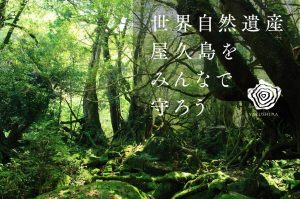 苔むした岩と木々が生い茂る屋久島の深い森の中の風景に、白い文字で「世界自然遺産 屋久島をみんなで守ろう」というメッセージが重ねられ、右側には屋久島ロゴが配置された画像