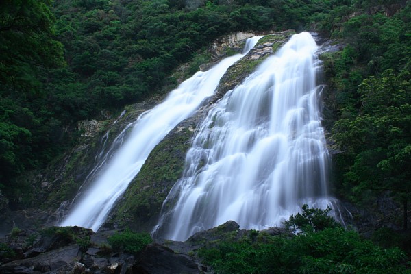 緑の木々に囲まれた岩肌の上を、白い筋となって激しく流れ落ちる多段の美しい滝の写真