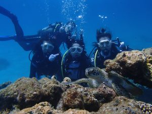 青い海中で三人のダイバーが潜水装備を着けて岩場の前に並び、前景には複雑な形状のサンゴとその間に海亀が見える光景を捉えたスキューバダイビングの写真