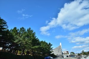 青い空と白い雲を背景に、整然と並んだ背の高い松の木と、その奥にそびえる斜めの屋根が特徴的な灰色の建物が見える景色の写真