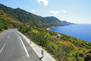 海と緑の山の美しい風景の中、1本の道路が通っている写真