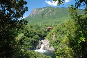 緑に覆われた山の斜面を背景に、中央には赤い橋が架かり、その下で白い水しぶきを上げる滝が流れ、周囲を濃い木々が囲む自然景観の写真