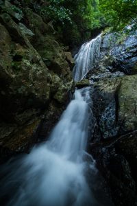 緑の木々の中、ごつごつした岩肌の断崖を勢いよく水が流れ落ち、水しぶきをあげている滝の写真