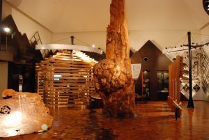 室内に木材を使った小さな家の骨組みや大きなコブのようなものがある切り株など、様々な展示がされている様子の写真