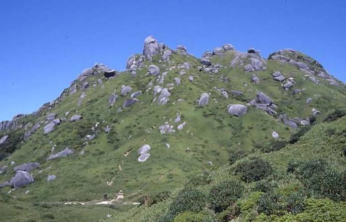 緑の草や低木に覆われ、大きな岩がごろごろと見える山の写真