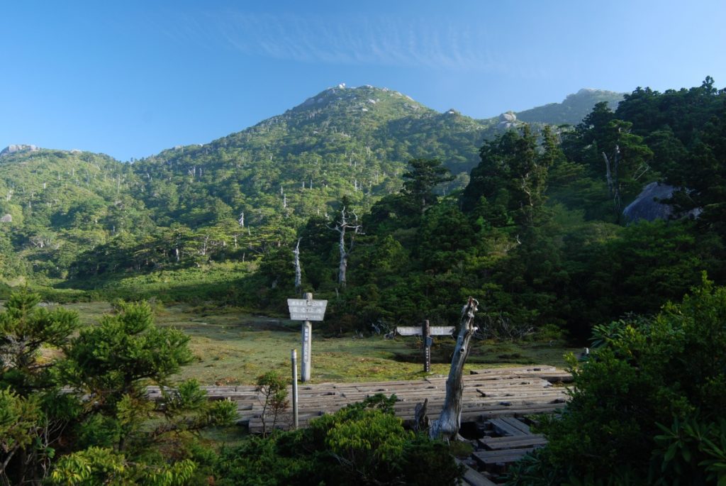 青空の下で緑豊かな山々が広がり、手前には木製の遊歩道と複数の案内板が立つ湿原の風景を望む写真
