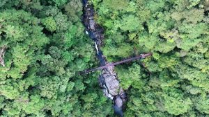 緑の木々の間を、大きな岩に沿って流れる川に一本の茶色い橋が架かっている風景を真上から撮影した写真