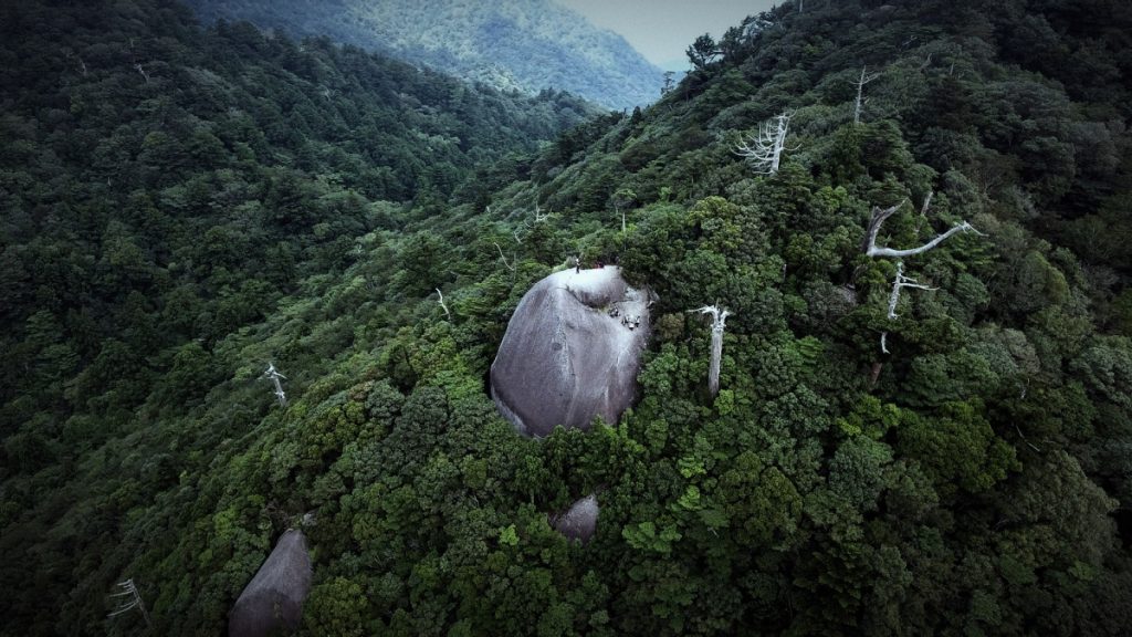 周囲を濃い緑の木々に囲まれた山中に、表面がなめらかで巨大な岩が露出している景色の写真
