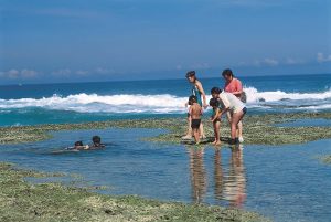水着を着た数人の子どもたちと大人が、波打ち際の潮だまりを泳いだり、中を覗いたりして遊んでいる様子の写真