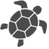 ウミガメのイラスト