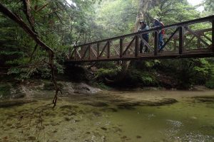 木々に囲まれた、透き通った水が流れる川に、茶色の鉄橋がかかり、2人の登山者が橋の上で景色を眺めている様子の写真