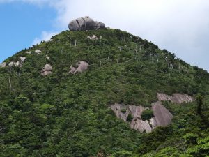 緑の木々に覆われたなだらかな傾斜の山の斜面や山頂にところどころ灰色の岩肌が見える景色の写真