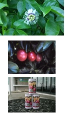 （上）つやのある緑色の葉の中に白い花びらの中央に紫色の輪、その中に黄色の雄しべと雌しべがある花の写真、（中）深い緑色の葉の中に光沢がある真っ赤な楕円形のパッションフルーツが3つ並んで実っている写真、（下）パッションフルーツのイラストの缶飲料が3つ積み重ねて置かれている写真