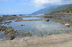 岩礁が広がる海岸に透き通った潮だまりが点在し、奥には雲をまとった山並みと白波寄せる海が穏やかに続く写真