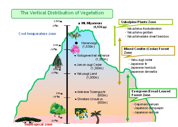屋久島における植生の垂直分布図